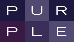 Purp biz materials